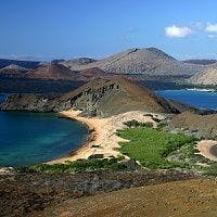 Galapagos Islands: An Animal Lover's Dream