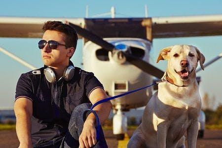 Travel, Airport, Airplanes, Pets, Dogs, Cats, National Dog Day
