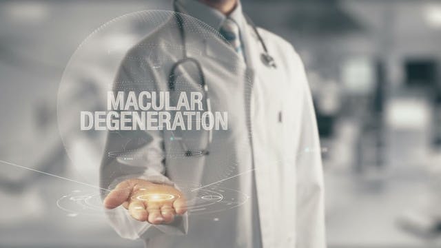 Macular degeneration physician: © Anar Mammadov - stock.adobe.com