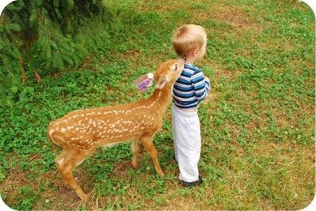 fees and fawns can come back to bite you