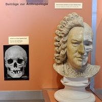 Basel's Delights for Doctors: The Anatomical Museum
