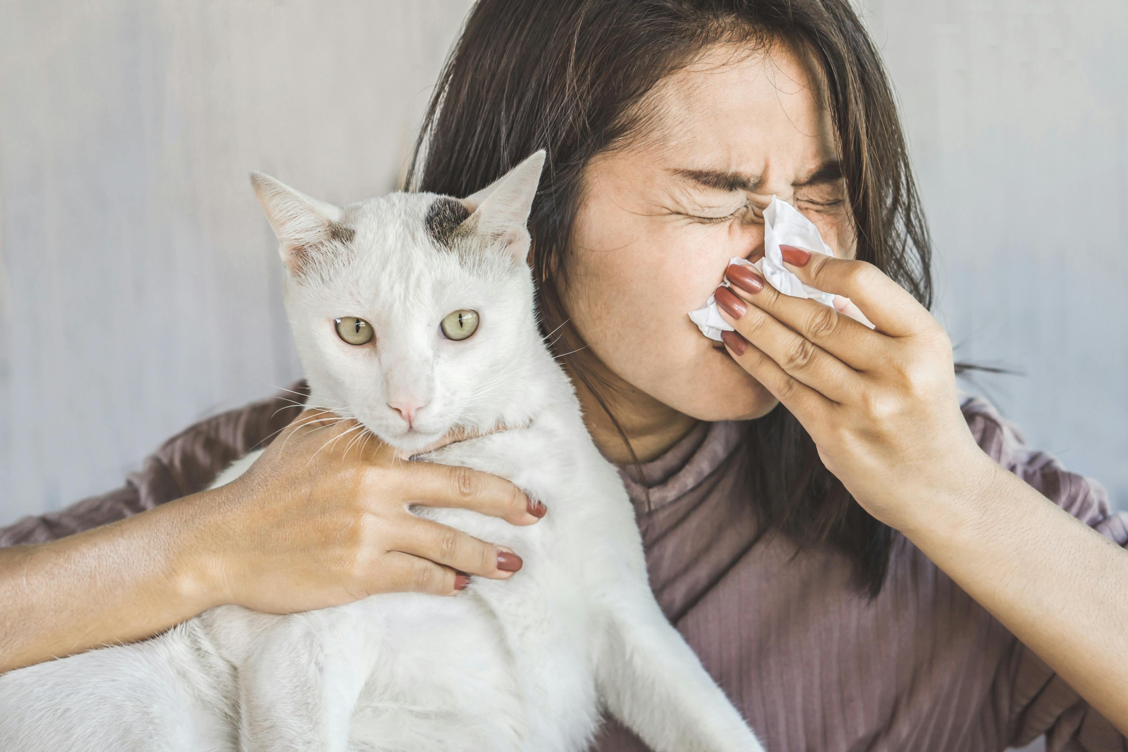 Researchers eye vaccination for cats that could alleviate human allergies
