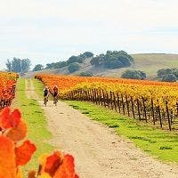Plan Ahead Part 3: From Californian to French Fall Adventures