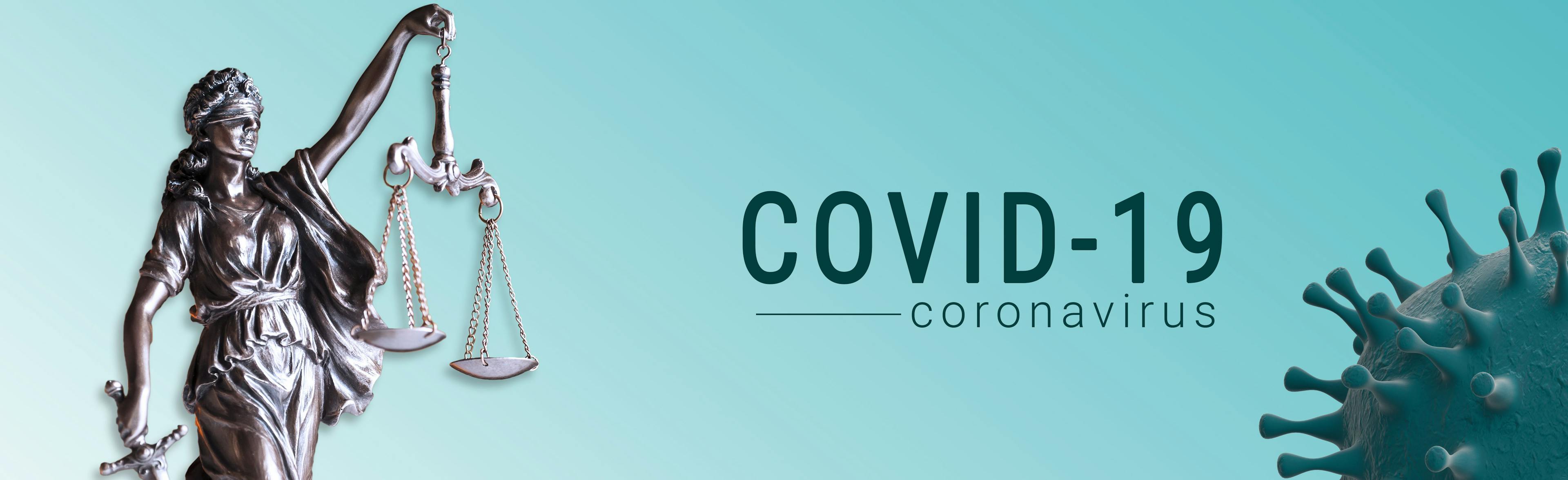 COVID-19 law