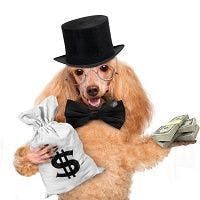 Dog with money and top hat