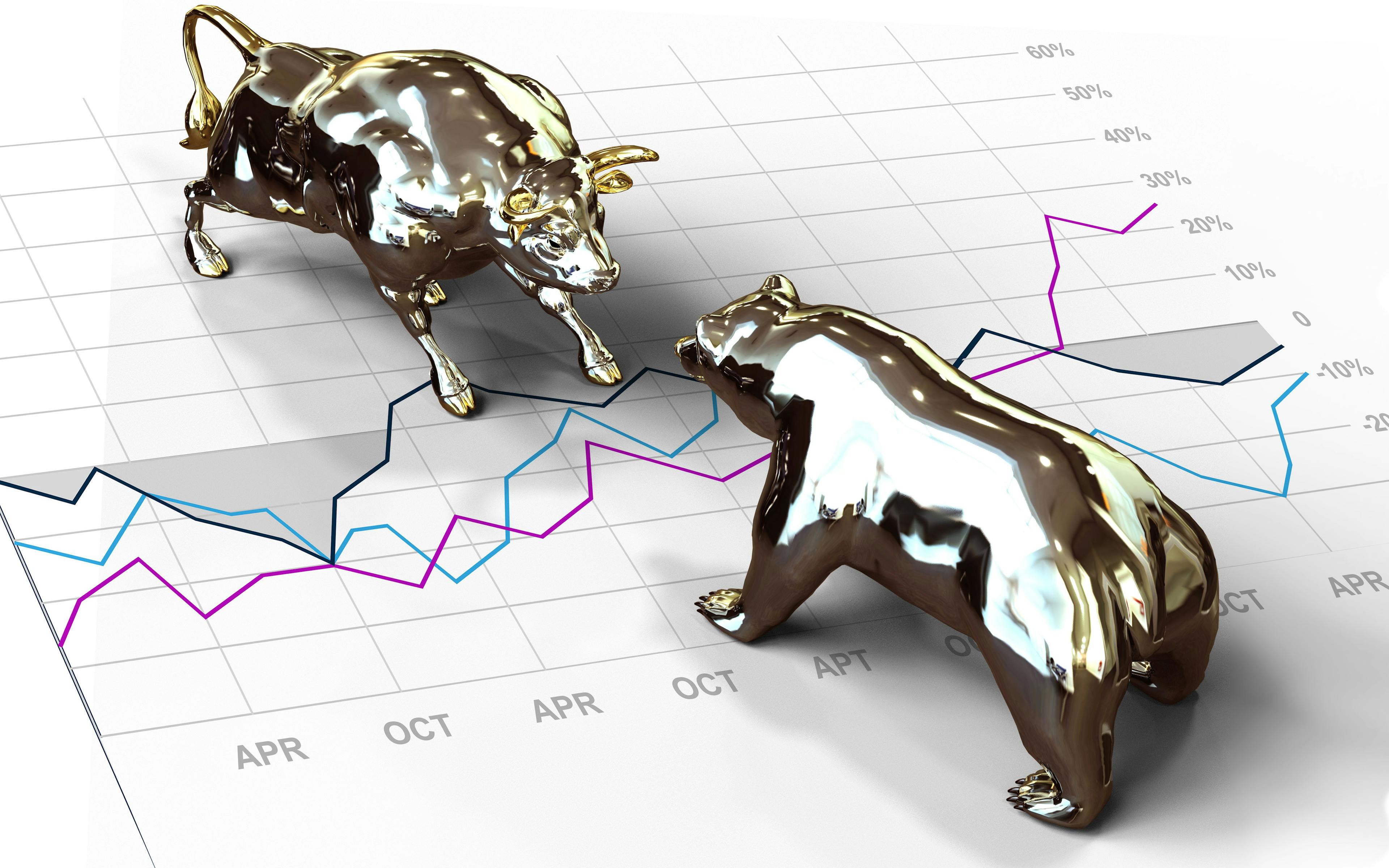 the bear and the bull fighting on investment lines