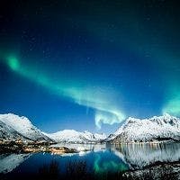 See Winter's Northern Lights