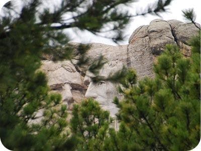 Mount Rushmore Trees