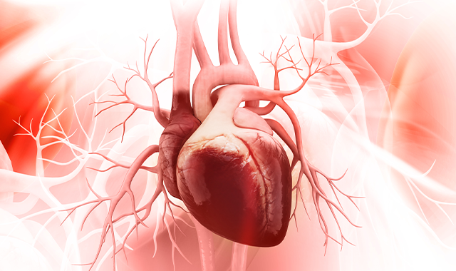 Managing cardiometabolic syndrome