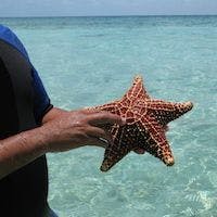 Snorkeling and Diving in Belize