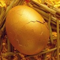 Cracked Nest Egg