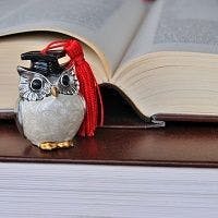Owl and textbook